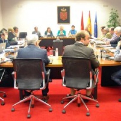 Parlamento-Navarra-1-WEB-300x201.jpg