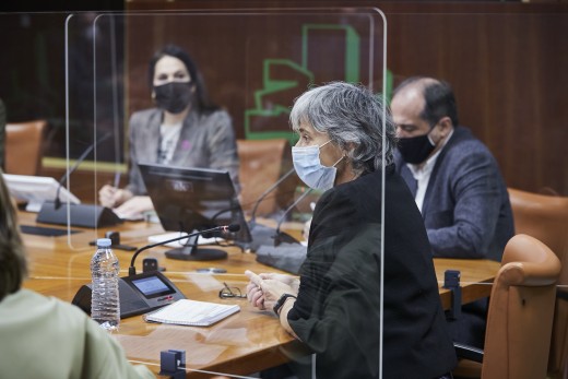 2020.12.09 Comisión de Derechos Humanos, Igualdad y Justicia 024.jpg